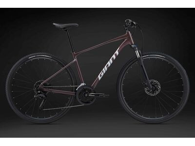 GIANT Roam Disc 2 click to zoom image