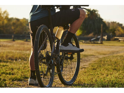 GIANT Roam Disc 2 click to zoom image