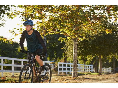 GIANT Roam Disc 2 click to zoom image