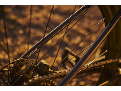 GIANT Roam Disc 2 click to zoom image