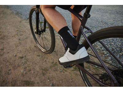 GIANT Roam Disc 2 click to zoom image