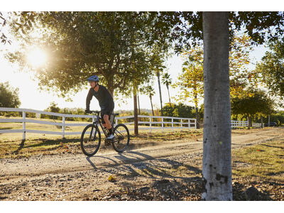 GIANT Roam Disc 2 click to zoom image