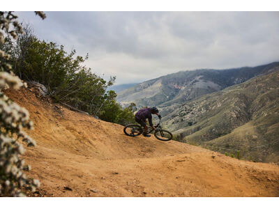 GIANT Trance X Advanced 1 click to zoom image