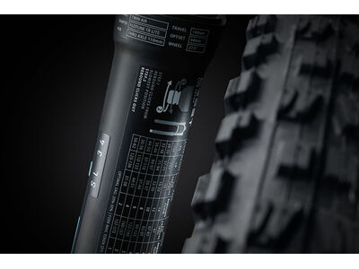 GIANT Faith click to zoom image