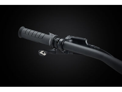 GIANT Faith click to zoom image