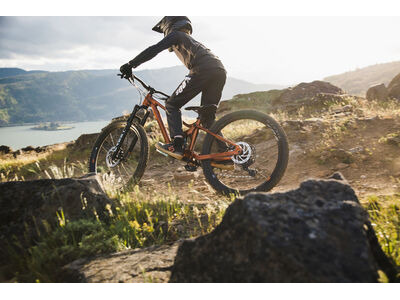 GIANT Faith click to zoom image