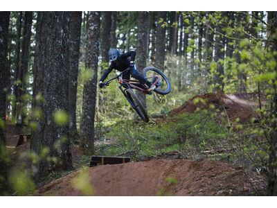 GIANT Faith click to zoom image