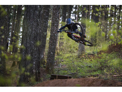 GIANT Faith click to zoom image