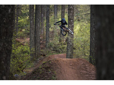 GIANT Faith click to zoom image