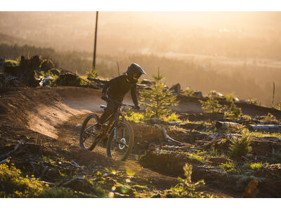 GIANT Faith click to zoom image