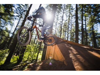 GIANT Faith click to zoom image