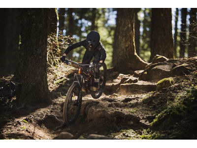 GIANT Faith click to zoom image