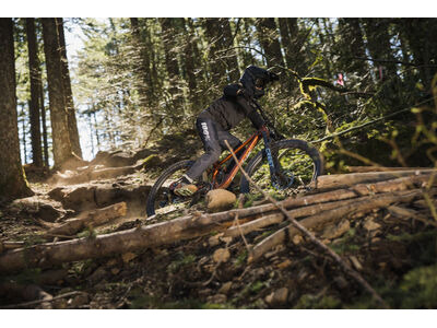 GIANT Faith click to zoom image