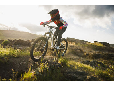 GIANT Faith 24 click to zoom image