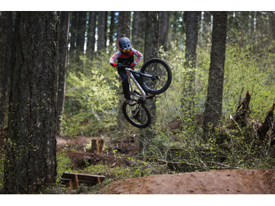 GIANT Faith 24 click to zoom image