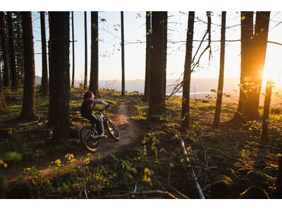 GIANT Faith 24 click to zoom image