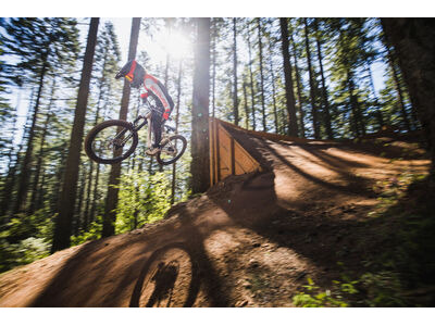 GIANT Faith 24 click to zoom image