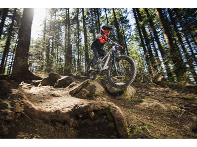 GIANT Faith 24 click to zoom image