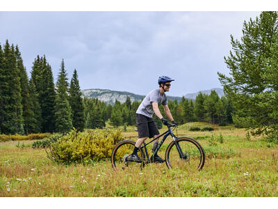 GIANT Talon 0 Mars Dust / Black click to zoom image