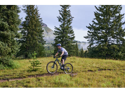 GIANT Talon 0 Mars Dust / Black click to zoom image