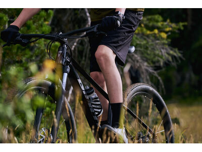 GIANT Talon 3 Panther click to zoom image