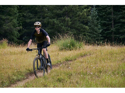 GIANT Talon 3 Panther click to zoom image