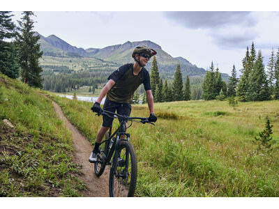 GIANT Talon 3 Panther click to zoom image