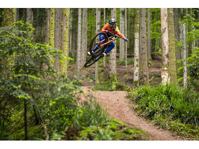 GIANT Glory Advanced Legends Edition Frameset click to zoom image