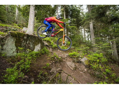 GIANT Glory Advanced Legends Edition Frameset click to zoom image