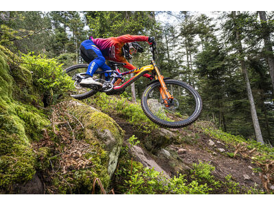 GIANT Glory Advanced Legends Edition Frameset click to zoom image