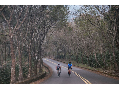 GIANT Rival Short Sleeve Jersey Cobalt click to zoom image