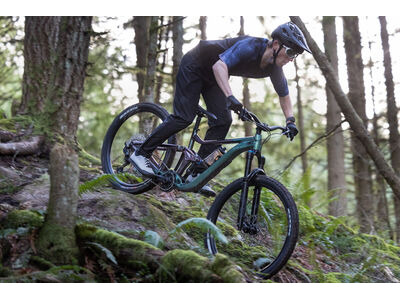 GIANT Reign 2 Mineral Green click to zoom image