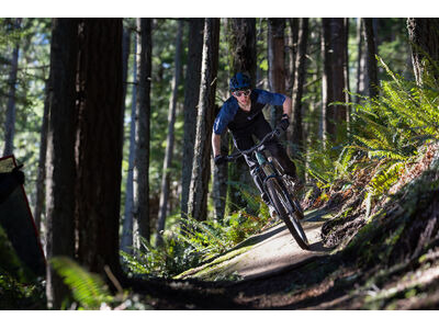 GIANT Reign 2 Mineral Green click to zoom image