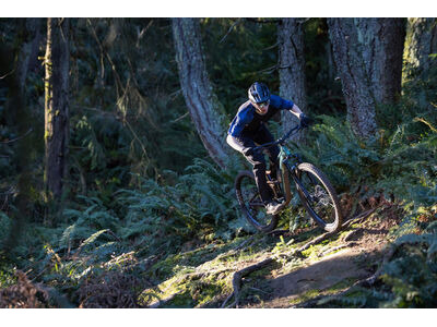 GIANT Reign 2 Mineral Green click to zoom image