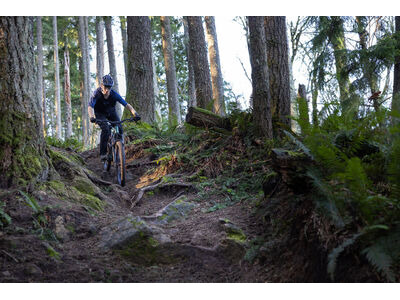 GIANT Reign 2 Mineral Green click to zoom image