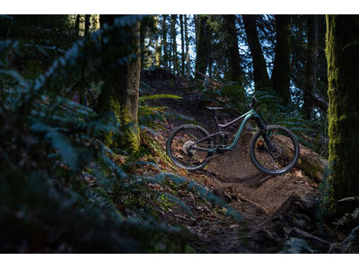 GIANT Reign 2 Mineral Green click to zoom image