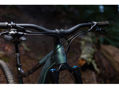 GIANT Reign 2 Mineral Green click to zoom image