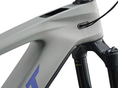 GIANT Reign Advanced E+ 2 Moon Dust click to zoom image