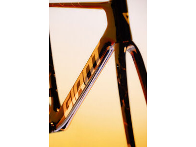 GIANT Propel Advanced SL Frameset click to zoom image