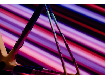 GIANT TCR Advanced Pro Frameset click to zoom image