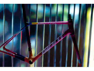 GIANT TCR Advanced Pro Frameset click to zoom image