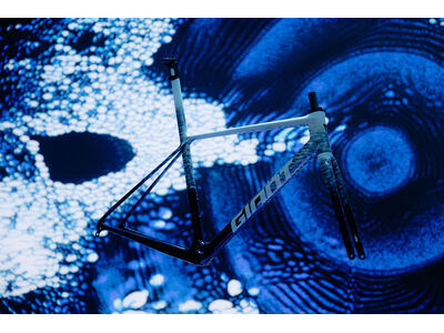 GIANT TCR Advanced SL Frameset click to zoom image