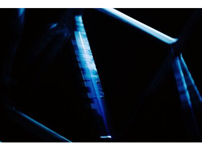 GIANT TCR Advanced SL Frameset click to zoom image