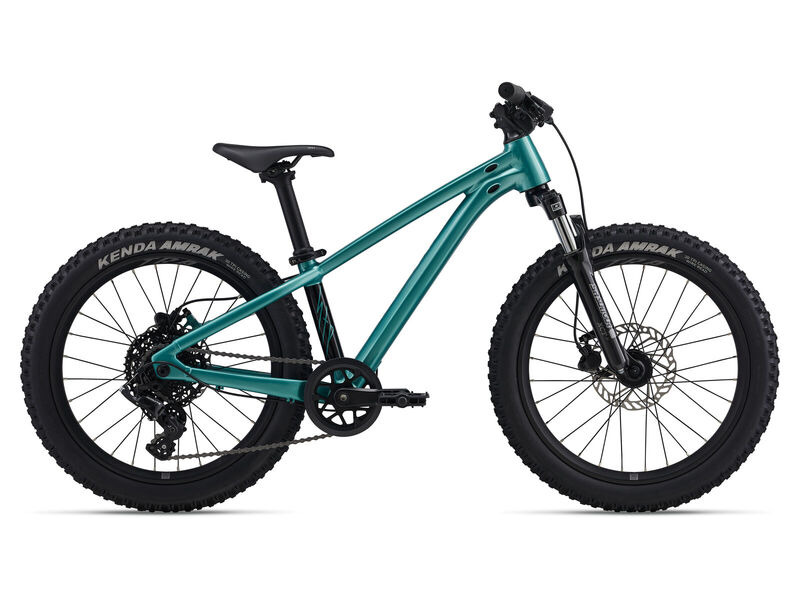 GIANT STP 20 FS Teal click to zoom image