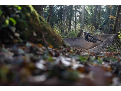 GIANT STP 26 Quicksilver click to zoom image