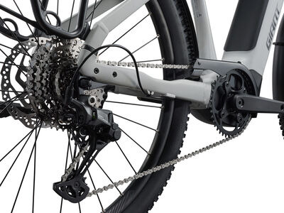 GIANT AnyTour X E+ 3 Black Currant click to zoom image