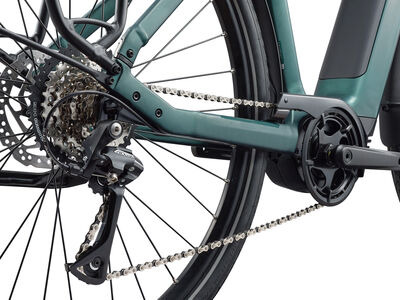 GIANT NewTour E+ 3 DD Kelp Forest click to zoom image