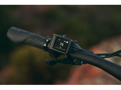 LIV Embolden E+ 2 625 click to zoom image