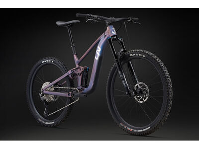 LIV Intrigue X 2 click to zoom image