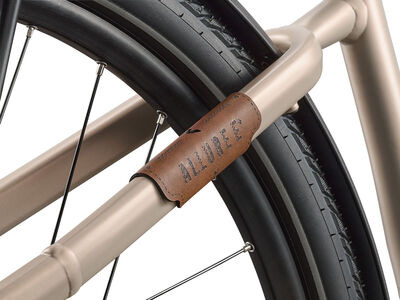 LIV Allure E+ 1 click to zoom image